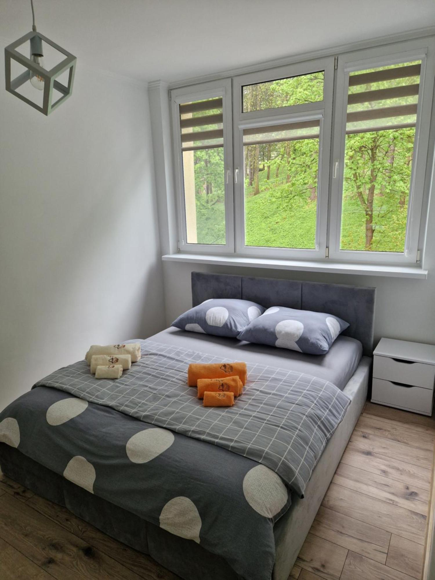 Apartment Moniuszko Lesko